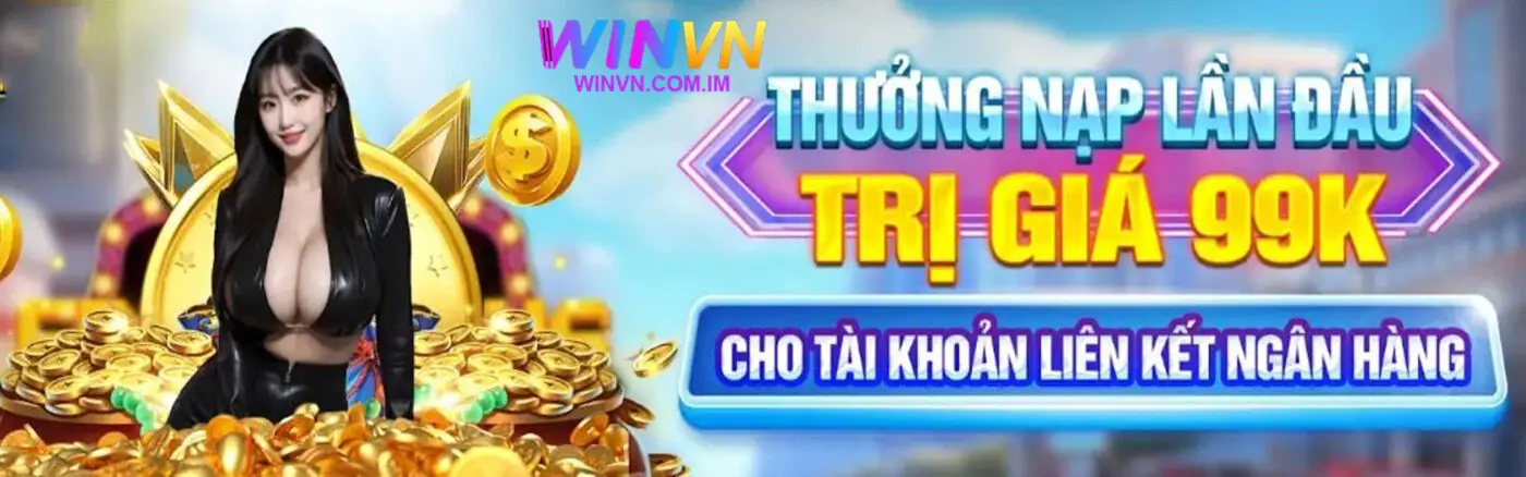 WINVN 7 banner-winvn
